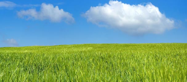 Malt Products Corporation